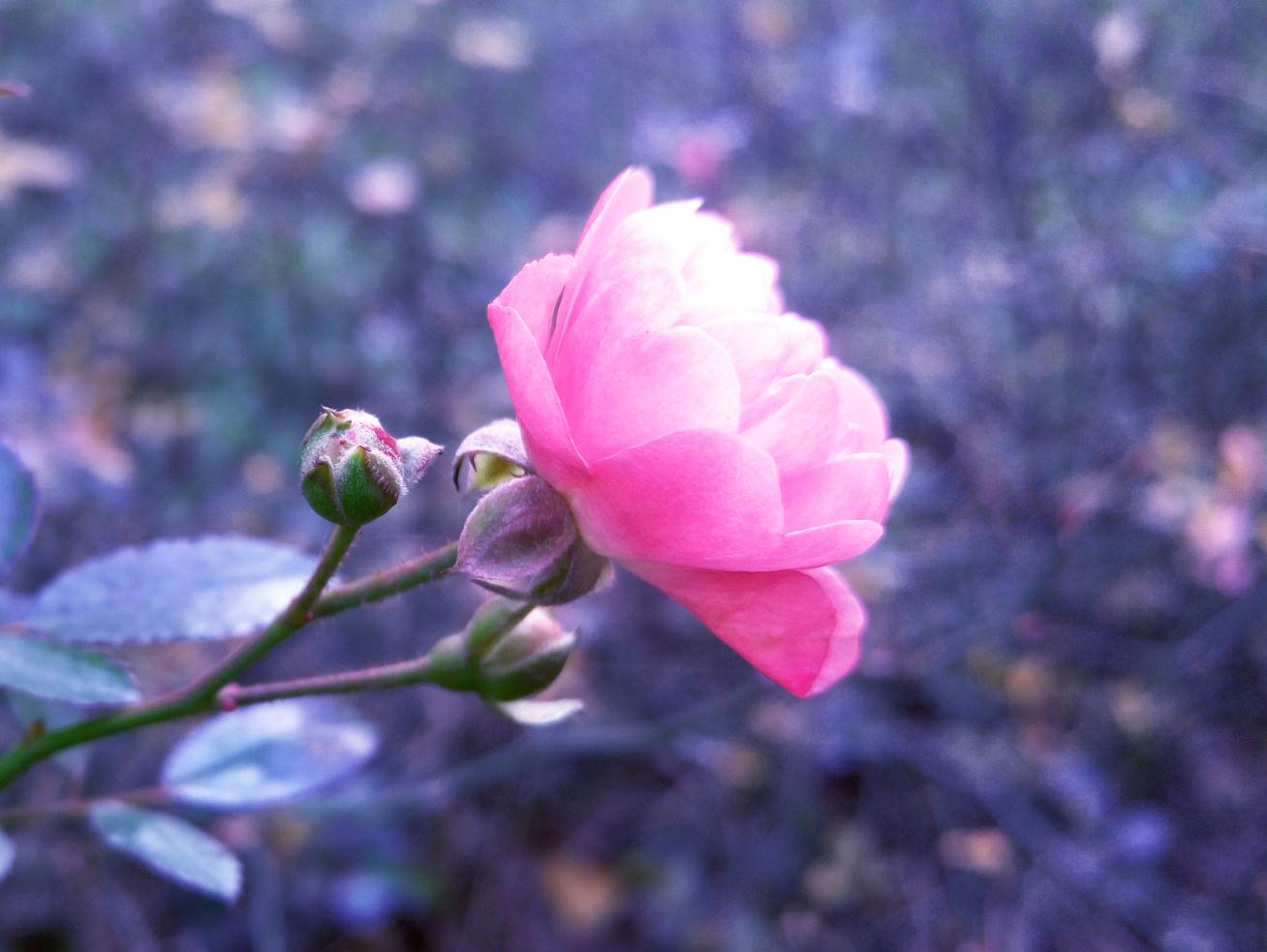 空谷悠巖的個人主頁（封面預(yù)覽） - 主頁封面設(shè)置 - 站酷設(shè)計師空谷悠巖原創(chuàng)素材 - 站酷ZCOOL