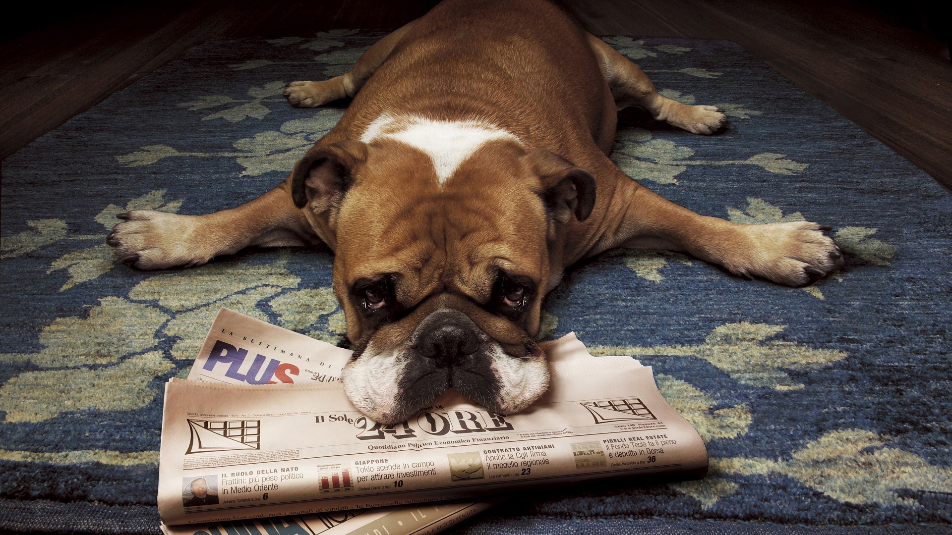 dzccc的个人主页（封面预览） - 主页封面设置 - 站酷设计师dzccc原创素材 - 站酷ZCOOL