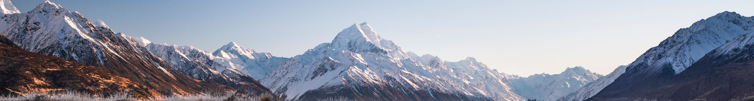 花儿歪的个人主页（封面预览） - 主页封面设置 - 站酷设计师花儿歪原创素材 - 站酷ZCOOL
