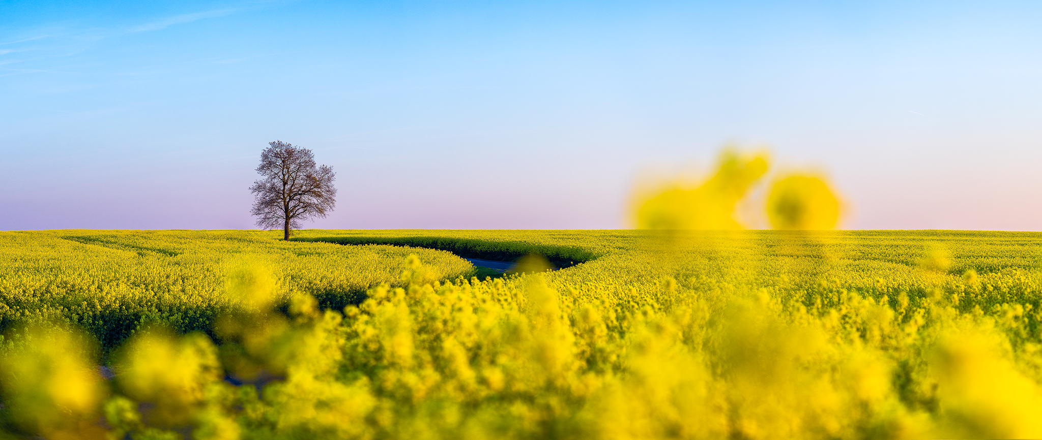 七秒钟的爱情的个人主页（封面预览） - 主页封面设置 - 站酷设计师七秒钟的爱情原创素材 - 站酷ZCOOL