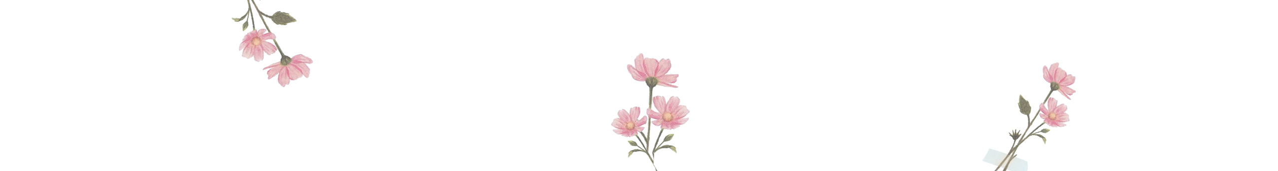 喜欢美的少女的个人主页（封面预览） - 主页封面设置 - 站酷设计师喜欢美的少女原创素材 - 站酷ZCOOL