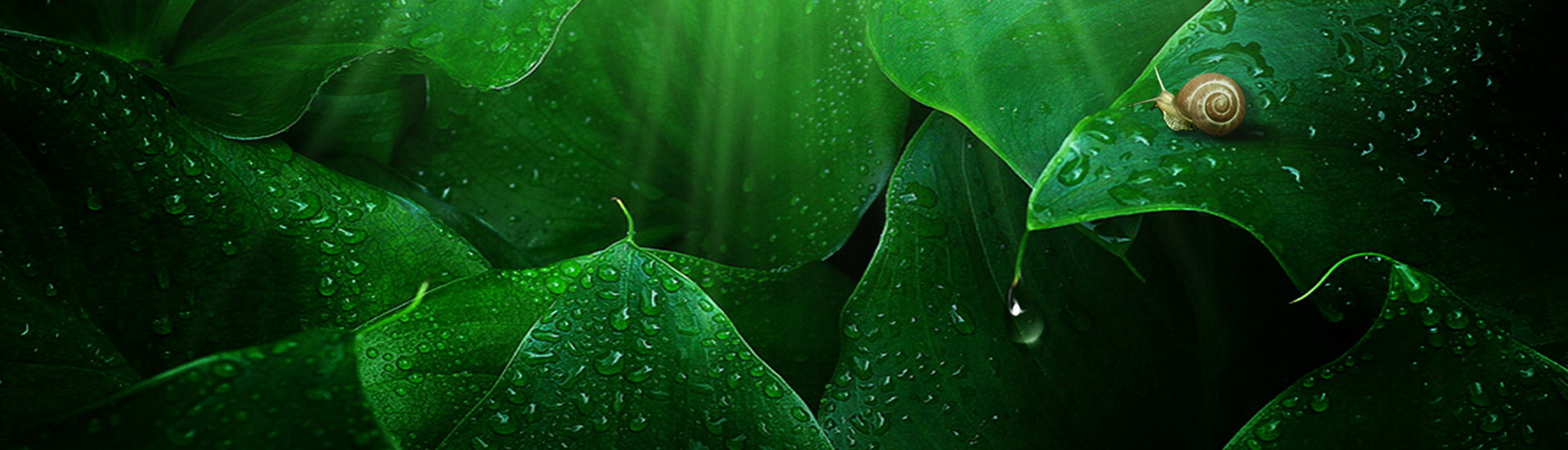 zunker的個人主頁（封面預(yù)覽） - 主頁封面設(shè)置 - 站酷設(shè)計師zunker原創(chuàng)素材 - 站酷ZCOOL