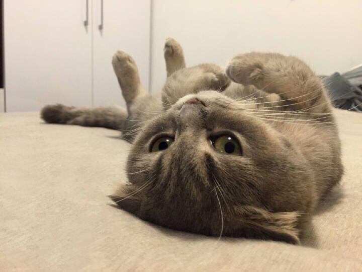 思颖CY的个人主页（封面预览） - 主页封面设置 - 站酷设计师思颖CY原创素材 - 站酷ZCOOL