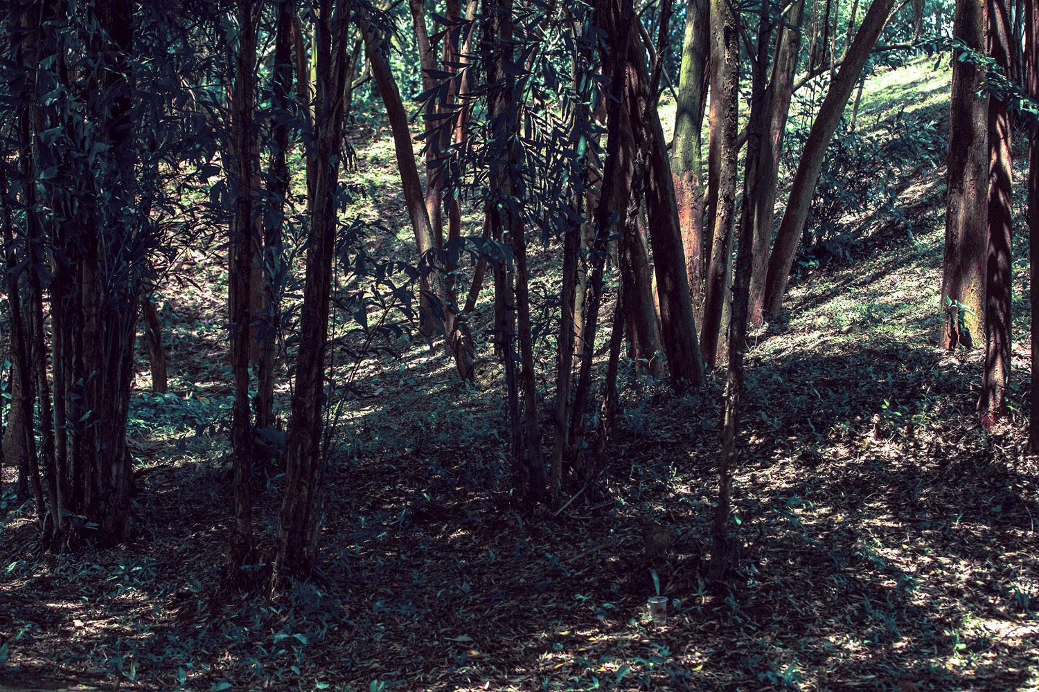 魚兒愛吃貓的個人主頁（封面預(yù)覽） - 主頁封面設(shè)置 - 站酷設(shè)計師魚兒愛吃貓原創(chuàng)素材 - 站酷ZCOOL