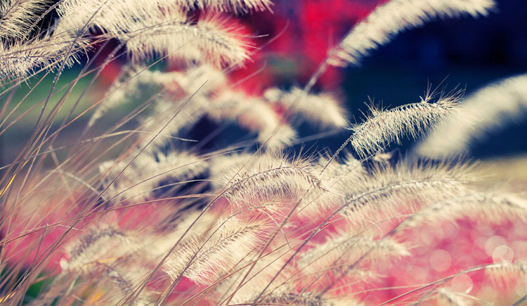 djl245029682的个人主页（封面预览） - 主页封面设置 - 站酷设计师djl245029682原创素材 - 站酷ZCOOL