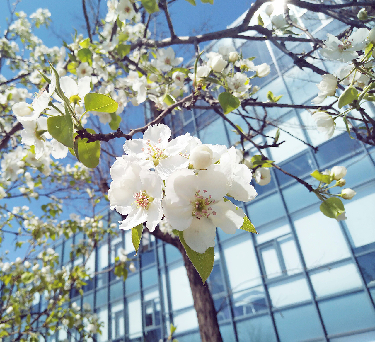 selina的设计的个人主页（封面预览） - 主页封面设置 - 站酷设计师selina的设计原创素材 - 站酷ZCOOL