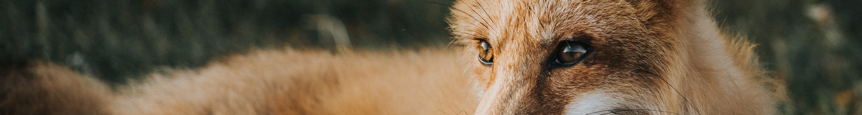 技术支持12的个人主页（封面预览） - 主页封面设置 - 站酷设计师技术支持12原创素材 - 站酷ZCOOL