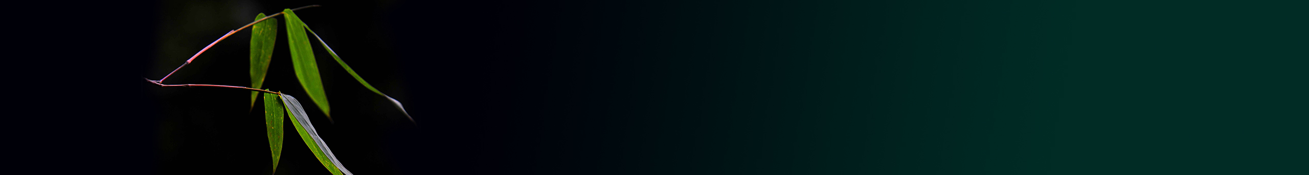 万里清辉的个人主页（封面预览） - 主页封面设置 - 站酷设计师万里清辉原创素材 - 站酷ZCOOL