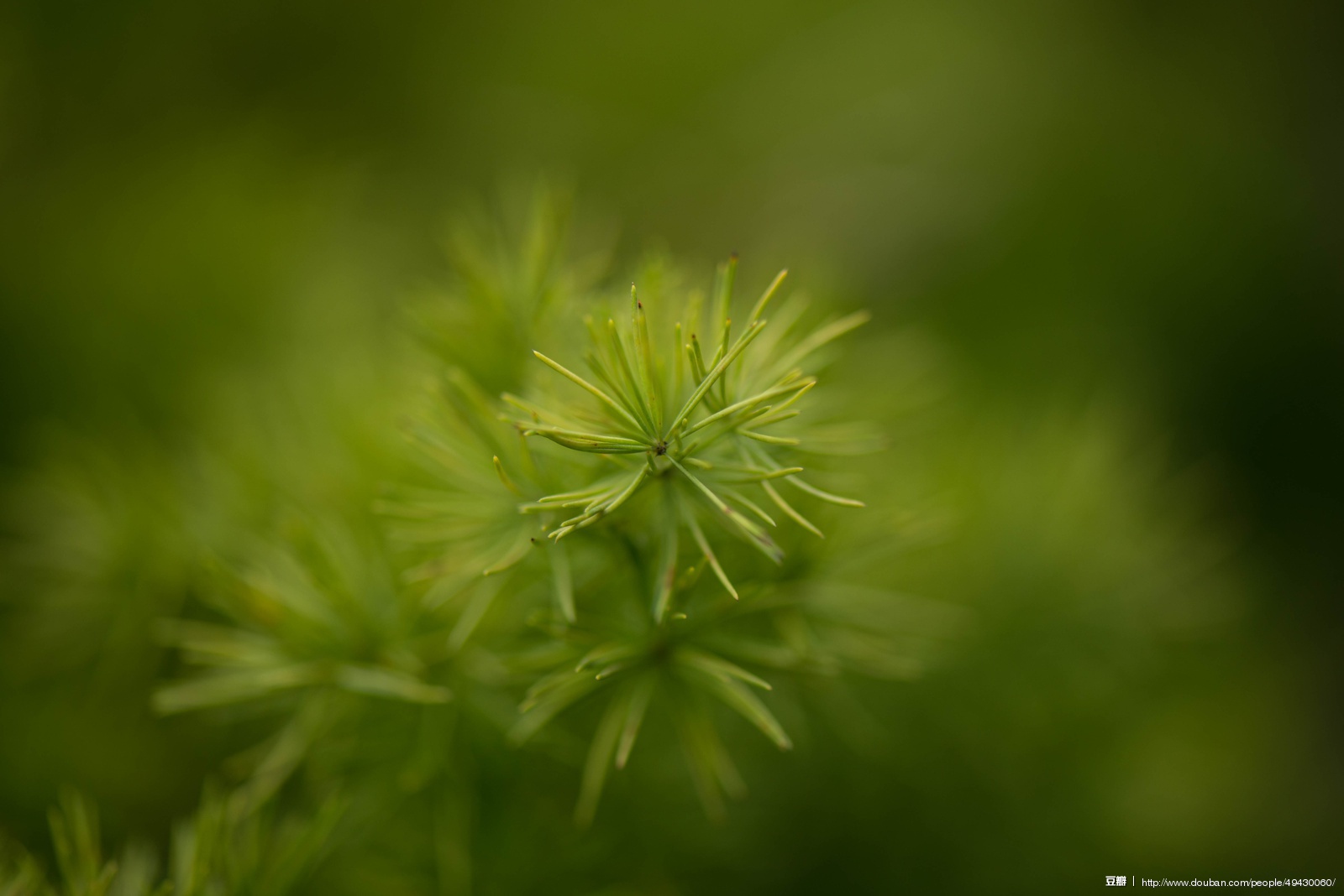 璿璿璇的個人主頁（封面預(yù)覽） - 主頁封面設(shè)置 - 站酷設(shè)計師璿璿璇原創(chuàng)素材 - 站酷ZCOOL