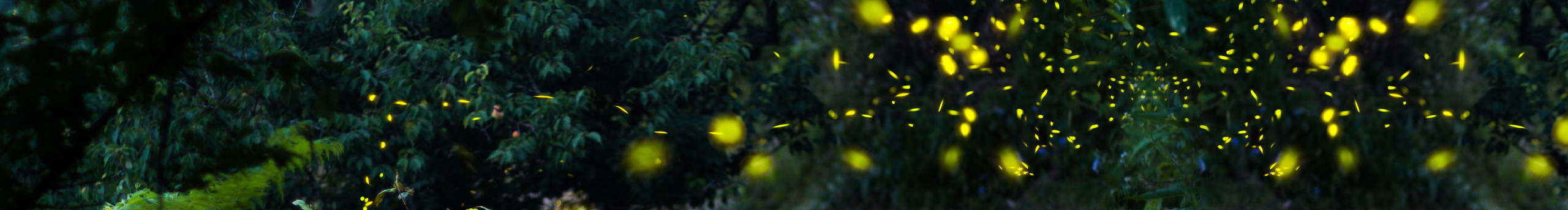 毒刺2044的个人主页（封面预览） - 主页封面设置 - 站酷设计师毒刺2044原创素材 - 站酷ZCOOL