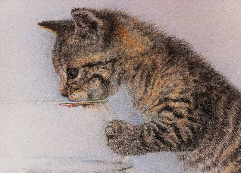 245171749的个人主页（封面预览） - 主页封面设置 - 站酷设计师245171749原创素材 - 站酷ZCOOL