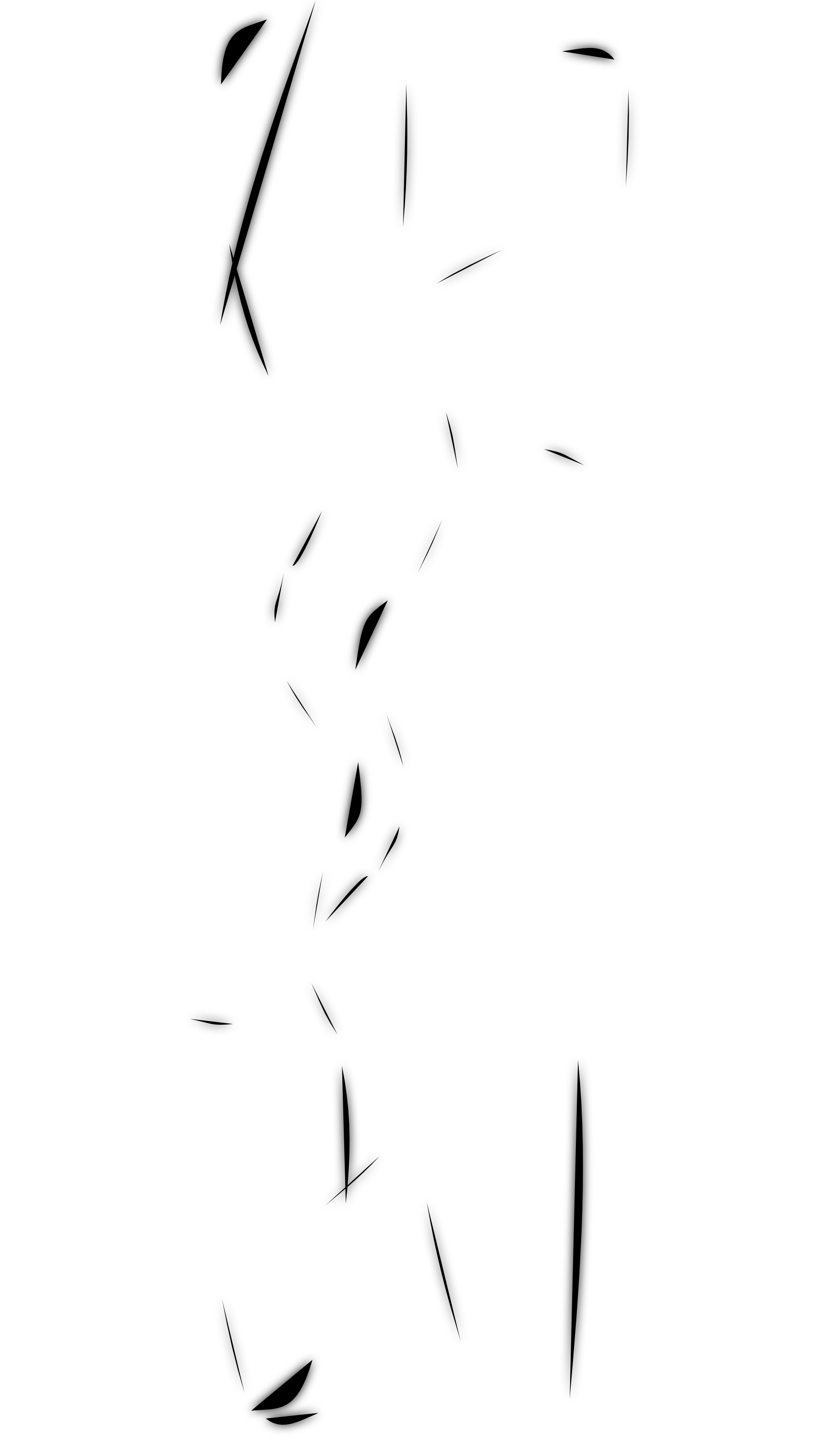 久言陳的個人主頁（封面預(yù)覽） - 主頁封面設(shè)置 - 站酷設(shè)計師久言陳原創(chuàng)素材 - 站酷ZCOOL