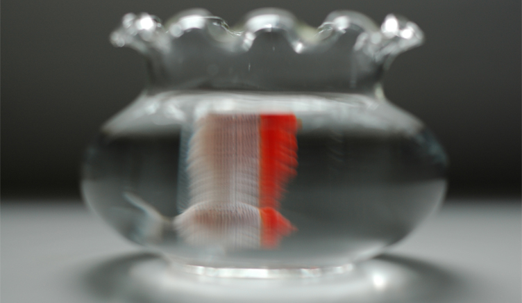 I抽懒筋的个人主页（封面预览） - 主页封面设置 - 站酷设计师I抽懒筋原创素材 - 站酷ZCOOL