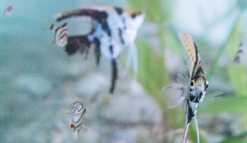 karlllll的个人主页（封面预览） - 主页封面设置 - 站酷设计师karlllll原创素材 - 站酷ZCOOL