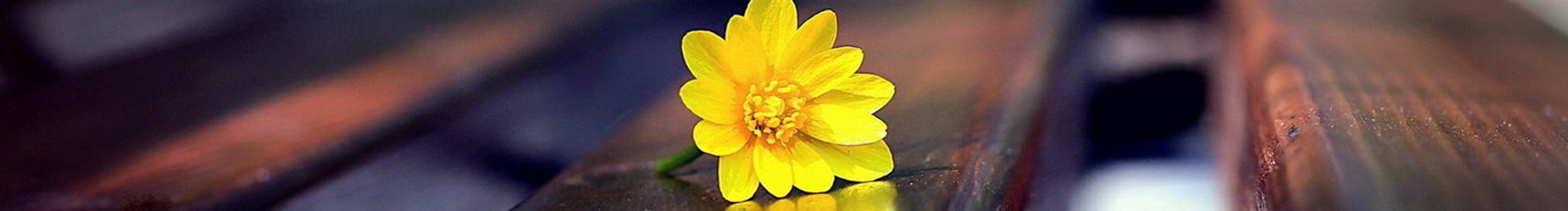 ruibao0420的个人主页（封面预览） - 主页封面设置 - 站酷设计师ruibao0420原创素材 - 站酷ZCOOL