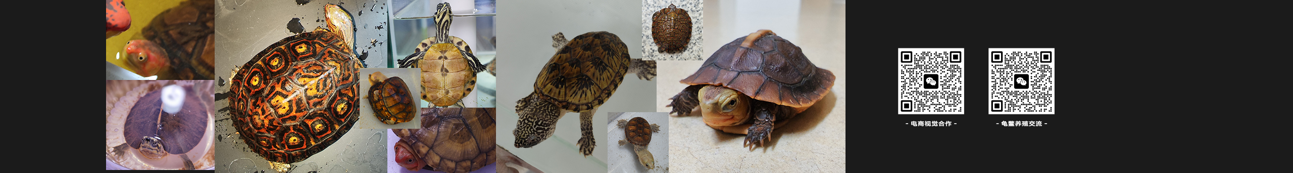 兲騎的個人主頁（封面預(yù)覽） - 主頁封面設(shè)置 - 站酷設(shè)計師兲騎原創(chuàng)素材 - 站酷ZCOOL