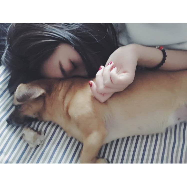 開心是個徐西瓜的個人主頁（封面預(yù)覽） - 主頁封面設(shè)置 - 站酷設(shè)計師開心是個徐西瓜原創(chuàng)素材 - 站酷ZCOOL