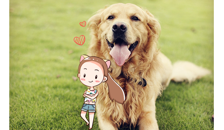 爱画画的米小芽的个人主页（封面预览） - 主页封面设置 - 站酷设计师爱画画的米小芽原创素材 - 站酷ZCOOL