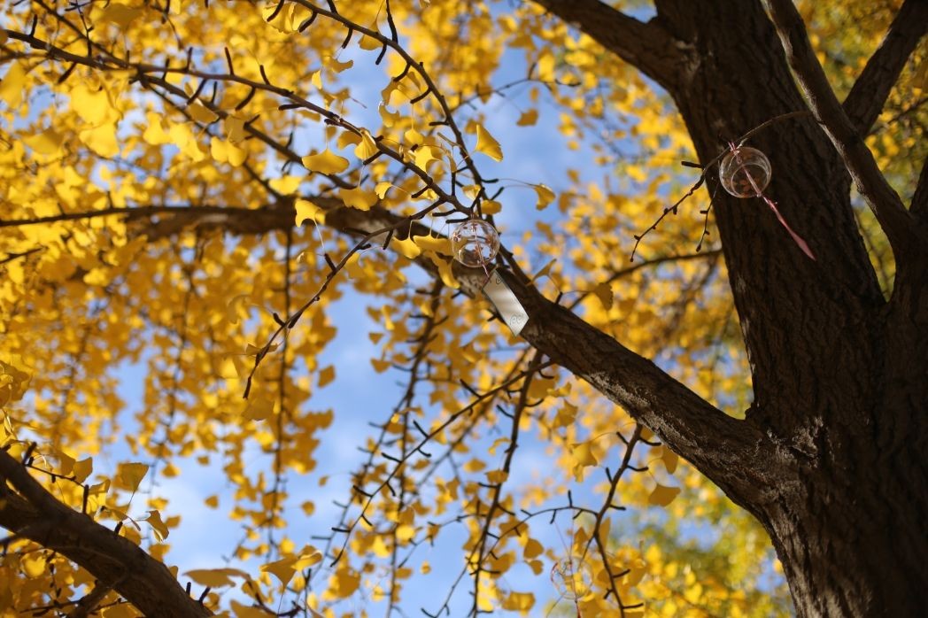 云的理论的个人主页（封面预览） - 主页封面设置 - 站酷设计师云的理论原创素材 - 站酷ZCOOL
