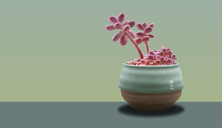 亖车子的个人主页（封面预览） - 主页封面设置 - 站酷设计师亖车子原创素材 - 站酷ZCOOL