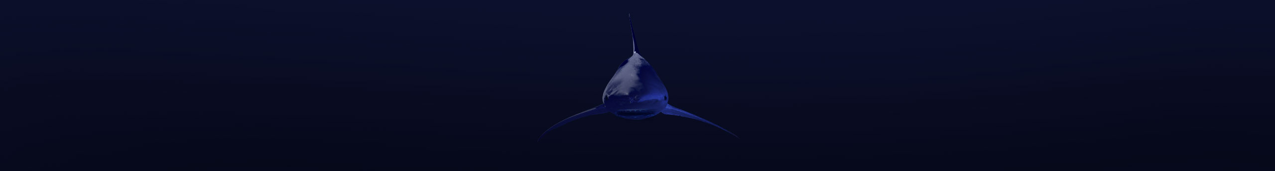 吴伟宏的个人主页（封面预览） - 主页封面设置 - 站酷设计师吴伟宏原创素材 - 站酷ZCOOL