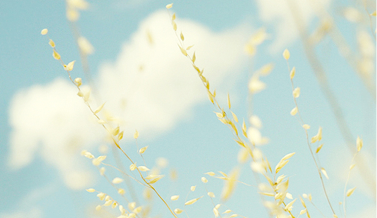 娟DESIGNER的个人主页（封面预览） - 主页封面设置 - 站酷设计师娟DESIGNER原创素材 - 站酷ZCOOL