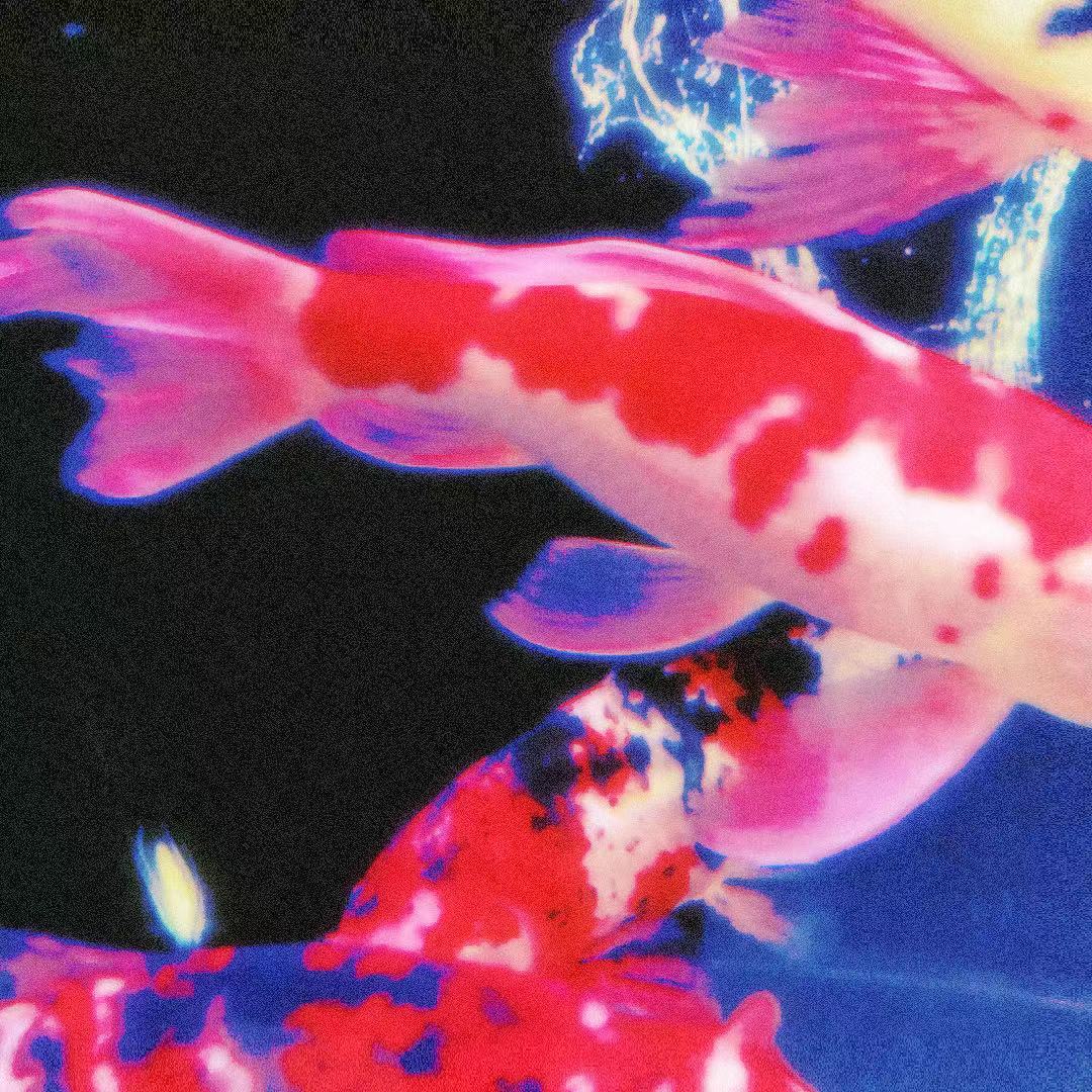 张加孟的个人主页（封面预览） - 主页封面设置 - 站酷设计师张加孟原创素材 - 站酷ZCOOL