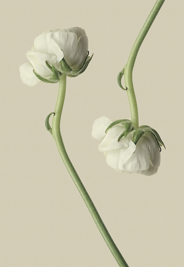 電商設計_Q的個人主頁（封面預覽） - 主頁封面設置 - 站酷設計師電商設計_Q原創(chuàng)素材 - 站酷ZCOOL