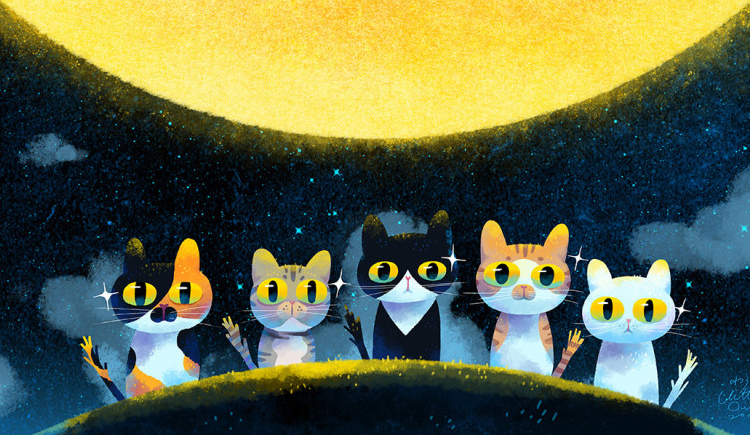 请叫我王导的个人主页（封面预览） - 主页封面设置 - 站酷设计师请叫我王导原创素材 - 站酷ZCOOL