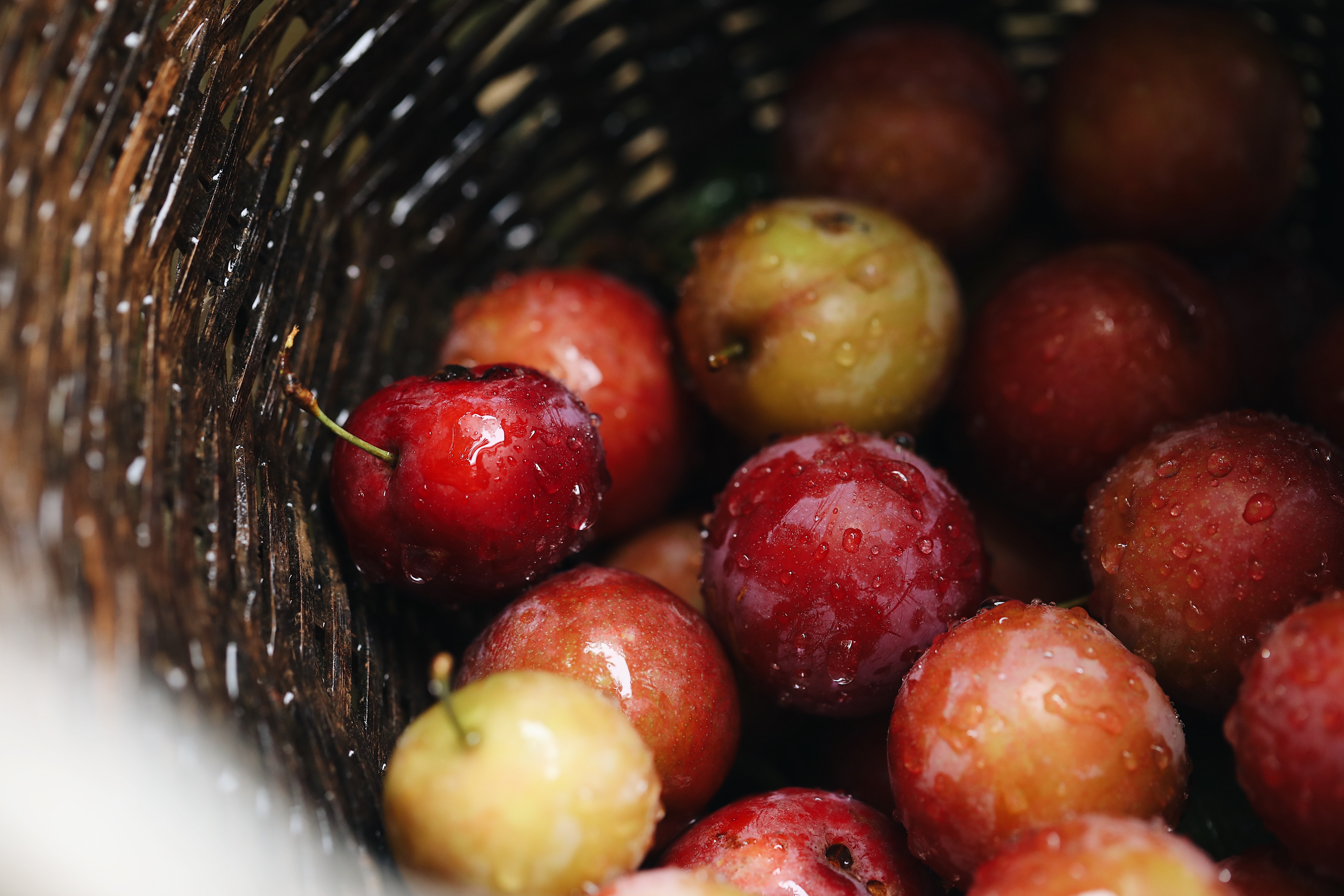 梵光藝術(shù)的個(gè)人主頁（封面預(yù)覽） - 主頁封面設(shè)置 - 站酷設(shè)計(jì)師梵光藝術(shù)原創(chuàng)素材 - 站酷ZCOOL