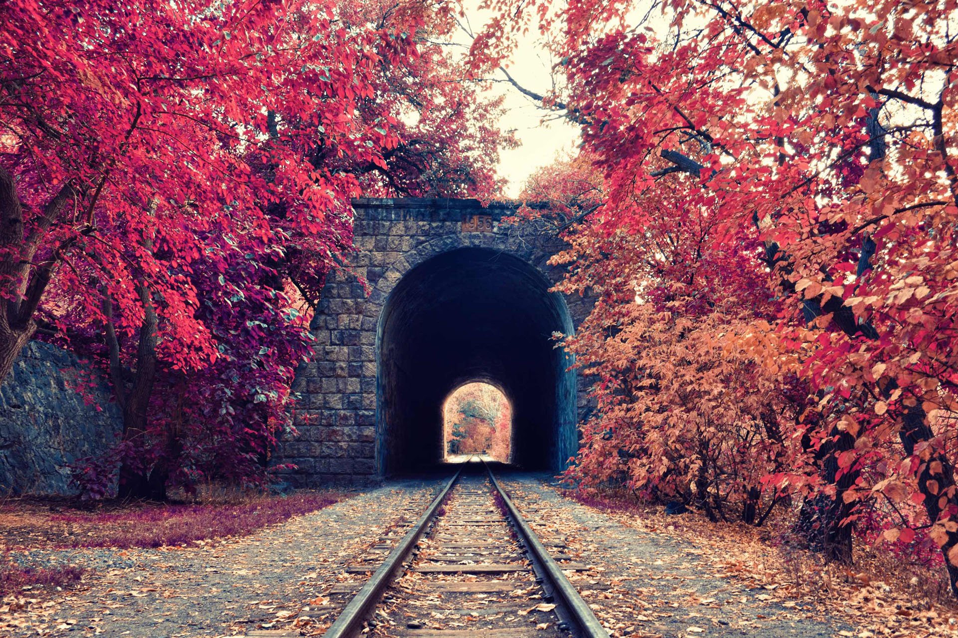 英俊又不凡的个人主页（封面预览） - 主页封面设置 - 站酷设计师英俊又不凡原创素材 - 站酷ZCOOL