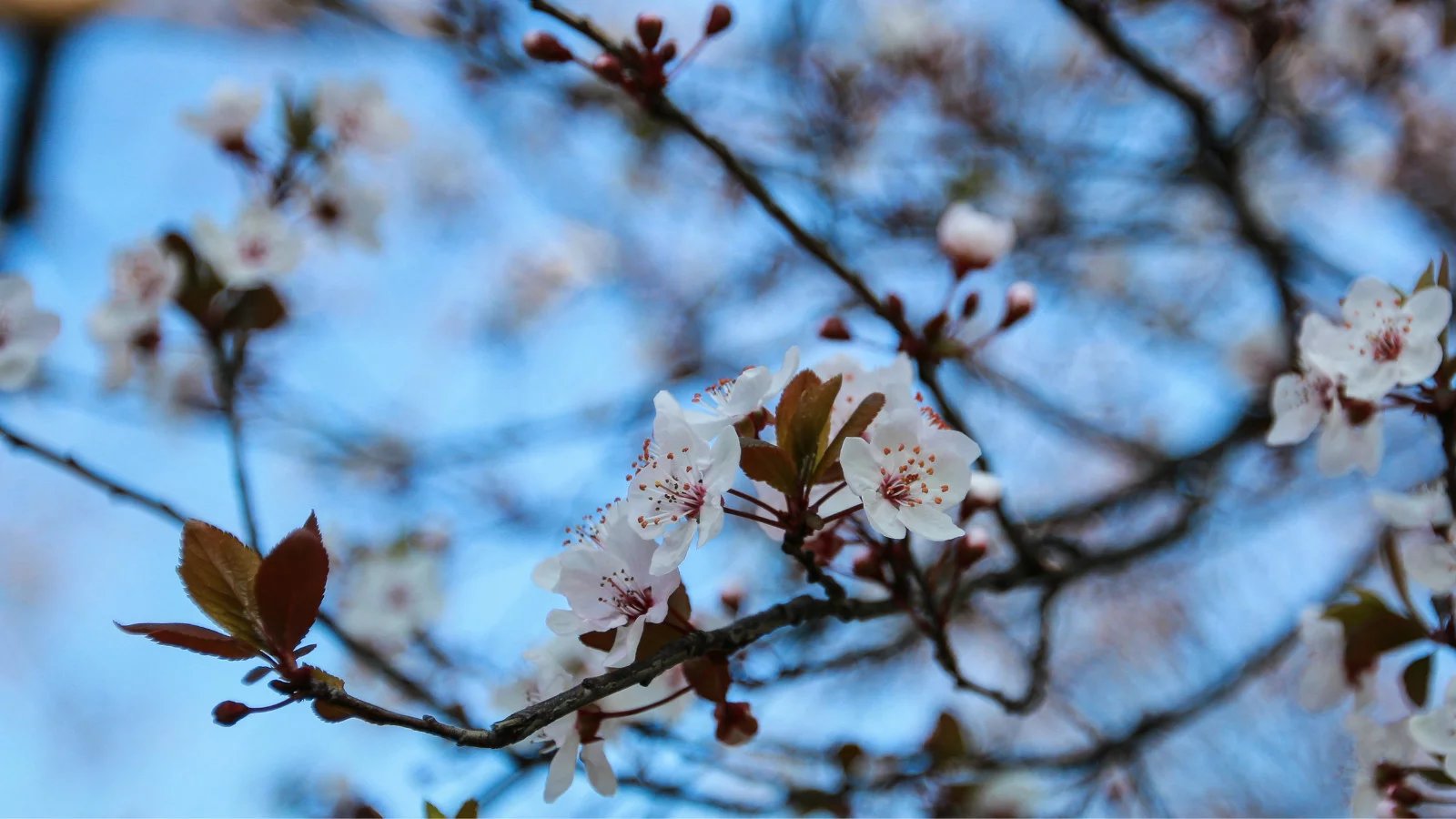 li13535531537的個人主頁（封面預(yù)覽） - 主頁封面設(shè)置 - 站酷設(shè)計(jì)師li13535531537原創(chuàng)素材 - 站酷ZCOOL