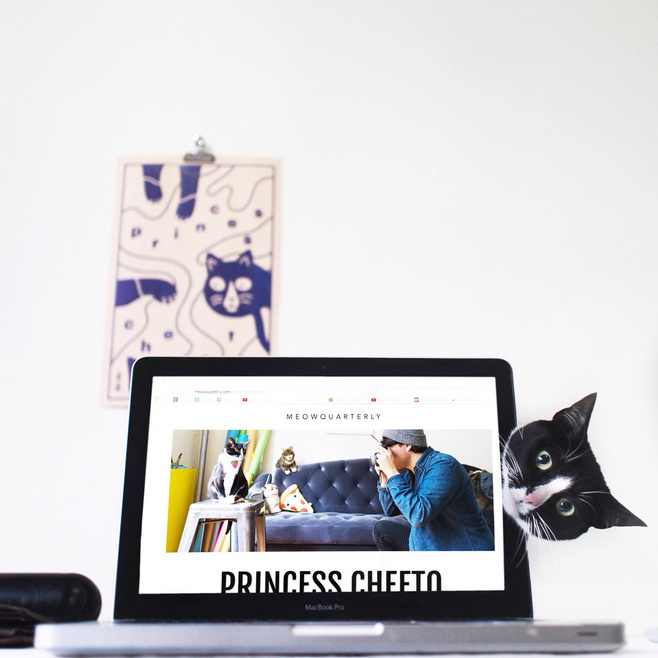 nemesia的个人主页（封面预览） - 主页封面设置 - 站酷设计师nemesia原创素材 - 站酷ZCOOL