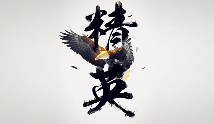 太阳花的花蕊的个人主页（封面预览） - 主页封面设置 - 站酷设计师太阳花的花蕊原创素材 - 站酷ZCOOL