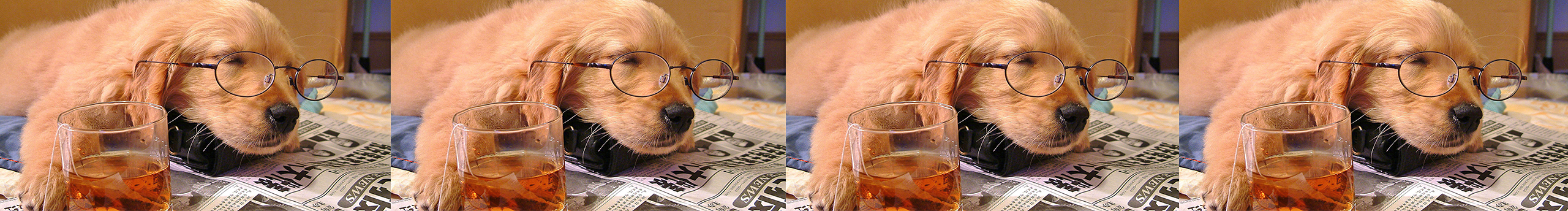 禾麥的個人主頁（封面預(yù)覽） - 主頁封面設(shè)置 - 站酷設(shè)計師禾麥原創(chuàng)素材 - 站酷ZCOOL