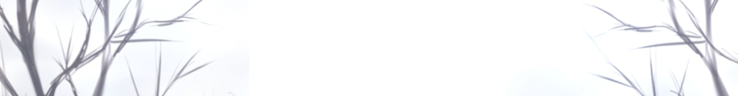 mmik11的个人主页（封面预览） - 主页封面设置 - 站酷设计师mmik11原创素材 - 站酷ZCOOL