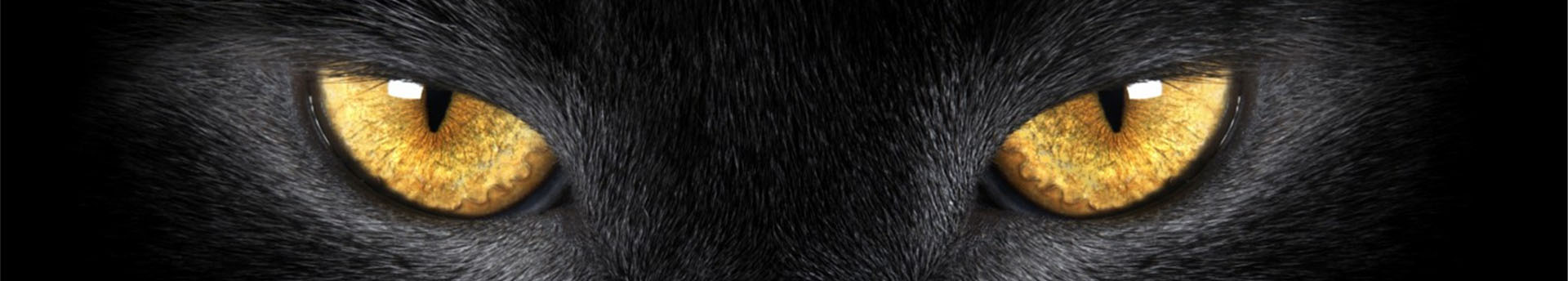 y二胖的抱抱熊的個(gè)人主頁(yè)（封面預(yù)覽） - 主頁(yè)封面設(shè)置 - 站酷設(shè)計(jì)師y二胖的抱抱熊原創(chuàng)素材 - 站酷ZCOOL