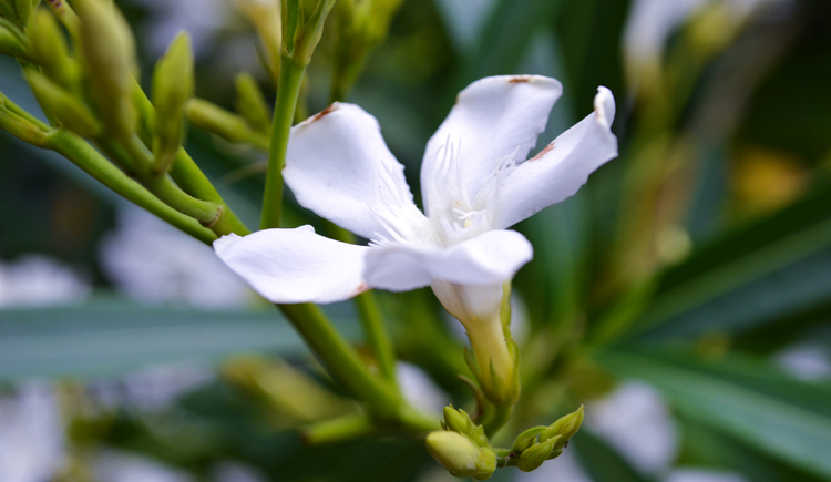向日葵的阳光的个人主页（封面预览） - 主页封面设置 - 站酷设计师向日葵的阳光原创素材 - 站酷ZCOOL