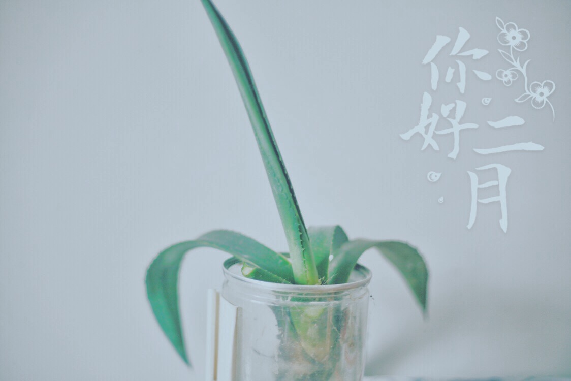 獨(dú)孤院長(zhǎng)的個(gè)人主頁（封面預(yù)覽） - 主頁封面設(shè)置 - 站酷設(shè)計(jì)師獨(dú)孤院長(zhǎng)原創(chuàng)素材 - 站酷ZCOOL