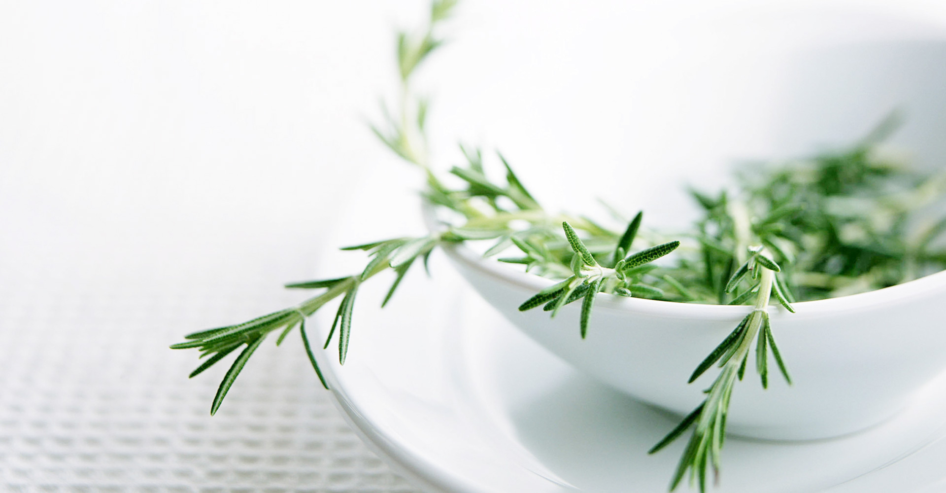 百香果果果的個(gè)人主頁（封面預(yù)覽） - 主頁封面設(shè)置 - 站酷設(shè)計(jì)師百香果果果原創(chuàng)素材 - 站酷ZCOOL