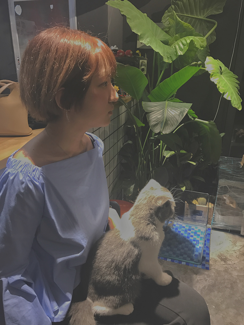 tuzidan0_0的个人主页（封面预览） - 主页封面设置 - 站酷设计师tuzidan0_0原创素材 - 站酷ZCOOL
