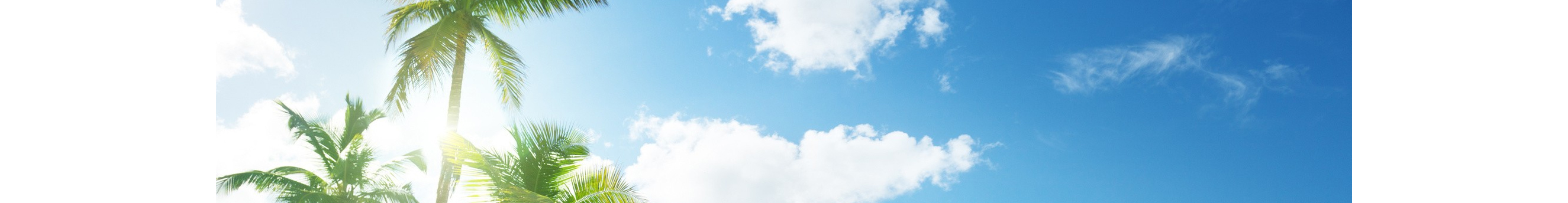 爱青青丶的个人主页（封面预览） - 主页封面设置 - 站酷设计师爱青青丶原创素材 - 站酷ZCOOL