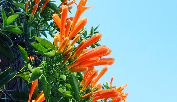 zero9453的个人主页（封面预览） - 主页封面设置 - 站酷设计师zero9453原创素材 - 站酷ZCOOL