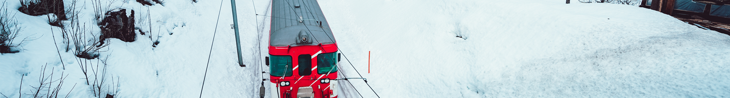 Dolphinka的个人主页（封面预览） - 主页封面设置 - 站酷设计师Dolphinka原创素材 - 站酷ZCOOL