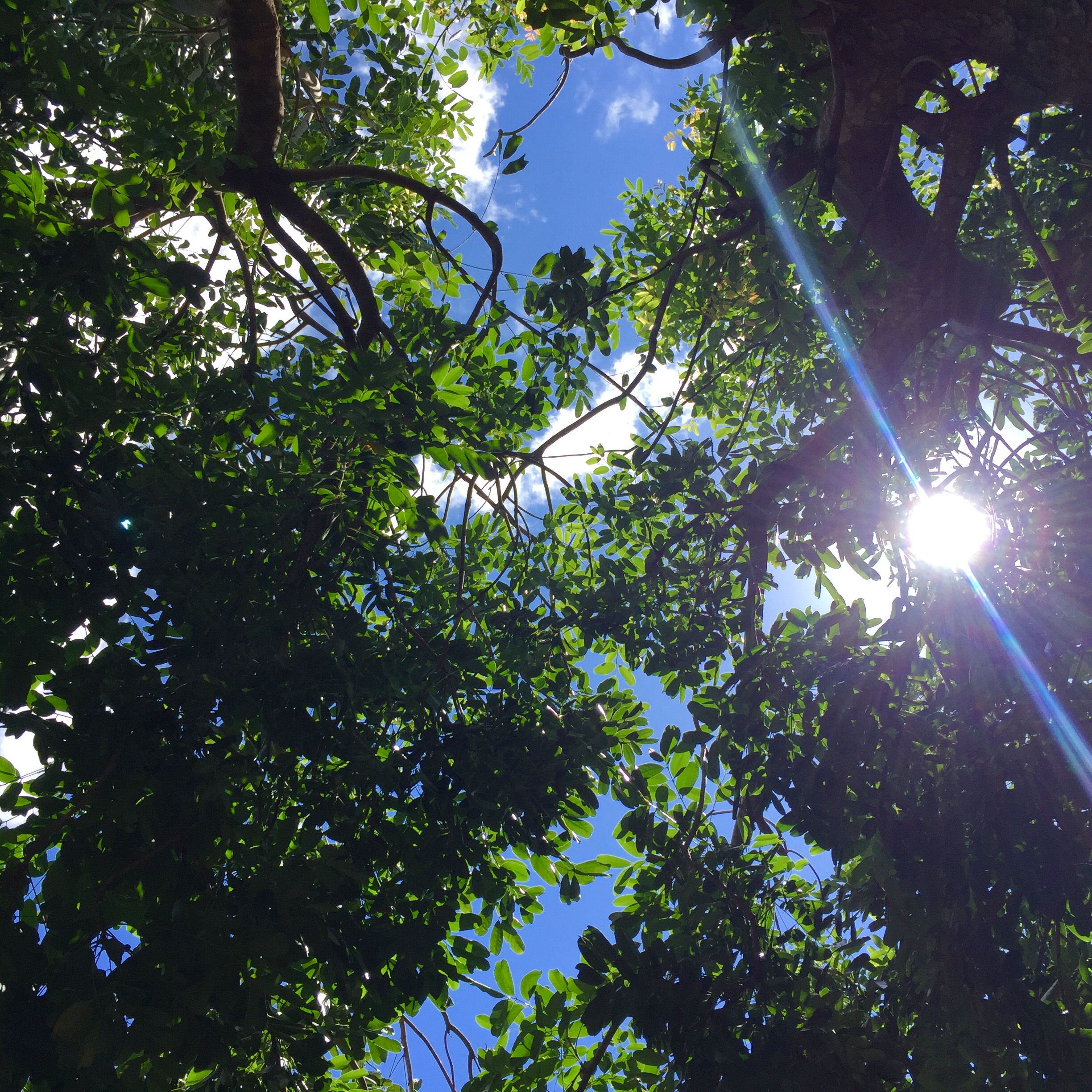 其他YAN的个人主页（封面预览） - 主页封面设置 - 站酷设计师其他YAN原创素材 - 站酷ZCOOL