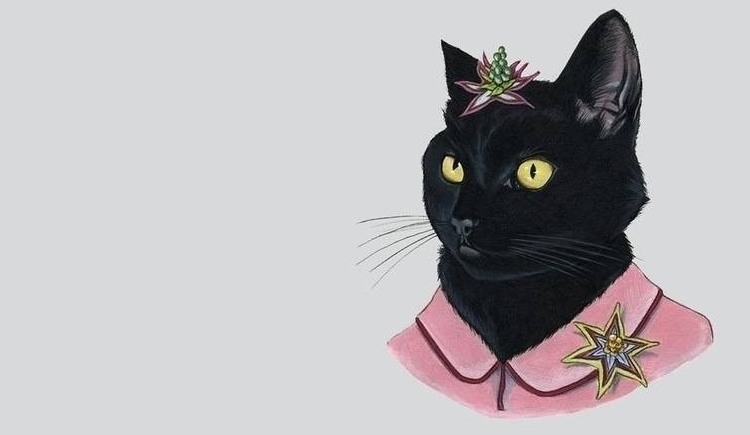 丁三的歌的個(gè)人主頁（封面預(yù)覽） - 主頁封面設(shè)置 - 站酷設(shè)計(jì)師丁三的歌原創(chuàng)素材 - 站酷ZCOOL