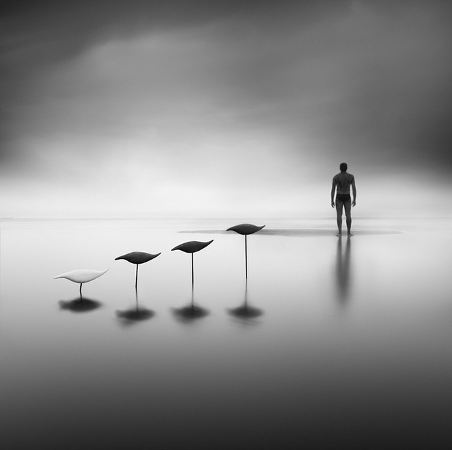 DAVISWY的个人主页（封面预览） - 主页封面设置 - 站酷设计师DAVISWY原创素材 - 站酷ZCOOL