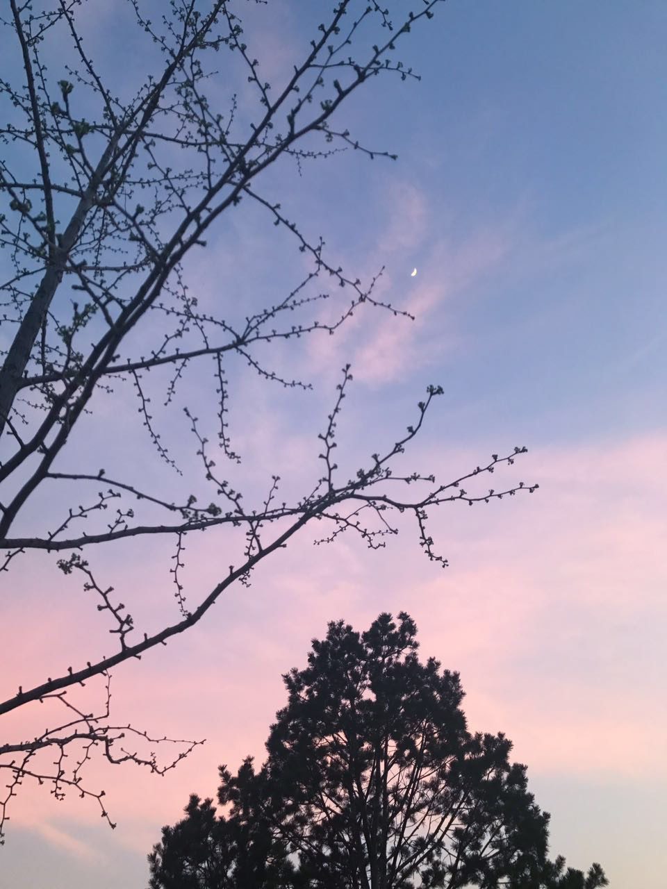 肚肚肚肚的个人主页（封面预览） - 主页封面设置 - 站酷设计师肚肚肚肚原创素材 - 站酷ZCOOL