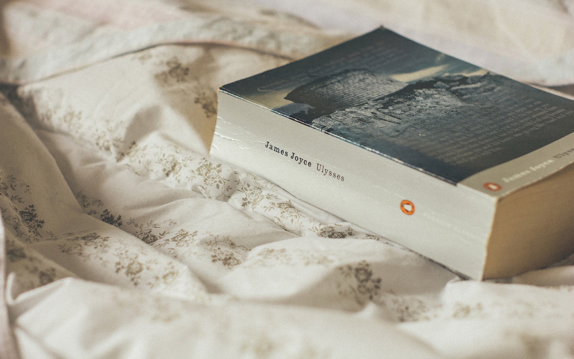 milmiao的个人主页（封面预览） - 主页封面设置 - 站酷设计师milmiao原创素材 - 站酷ZCOOL