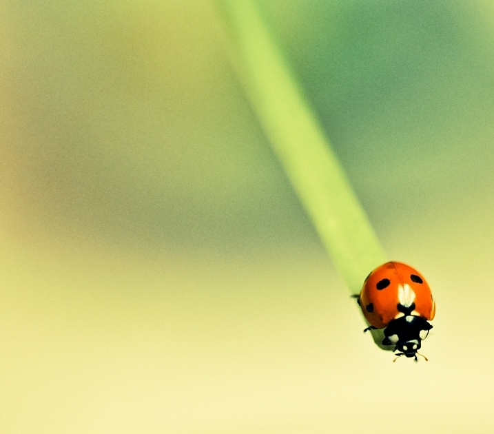 天景的個人主頁（封面預覽） - 主頁封面設置 - 站酷設計師天景原創(chuàng)素材 - 站酷ZCOOL